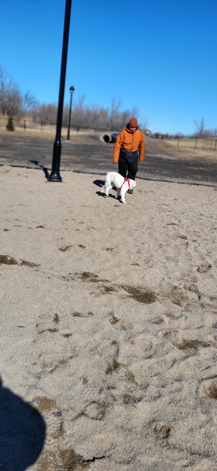 Parc canin de Mont-Saint-Hilaire dog park in Mont-Saint-Hilaire, Quebec