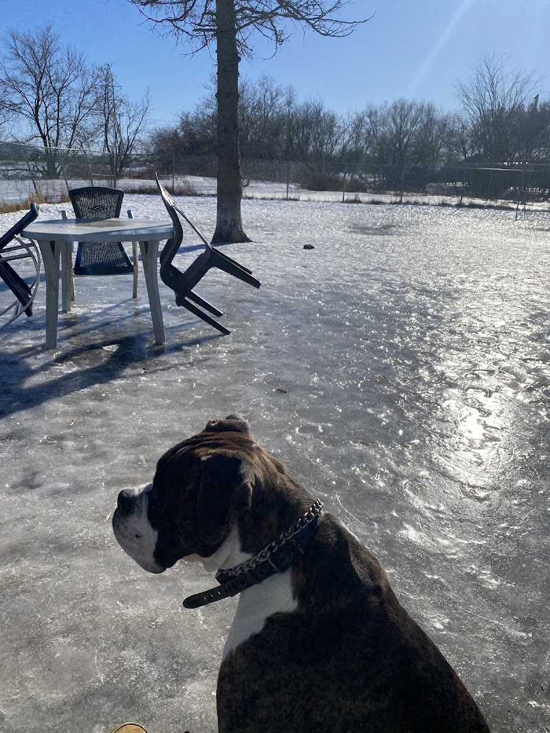Parc Canin dog park in Marieville, Quebec