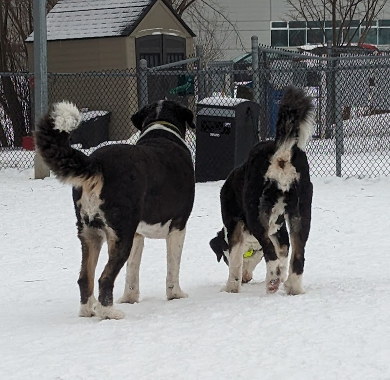 Parc canin de Ste-Julie dog park in Sainte-Julie, Quebec