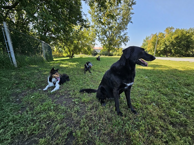 Parc à chien - Entre quatre pattes dog park in Varennes, Quebec