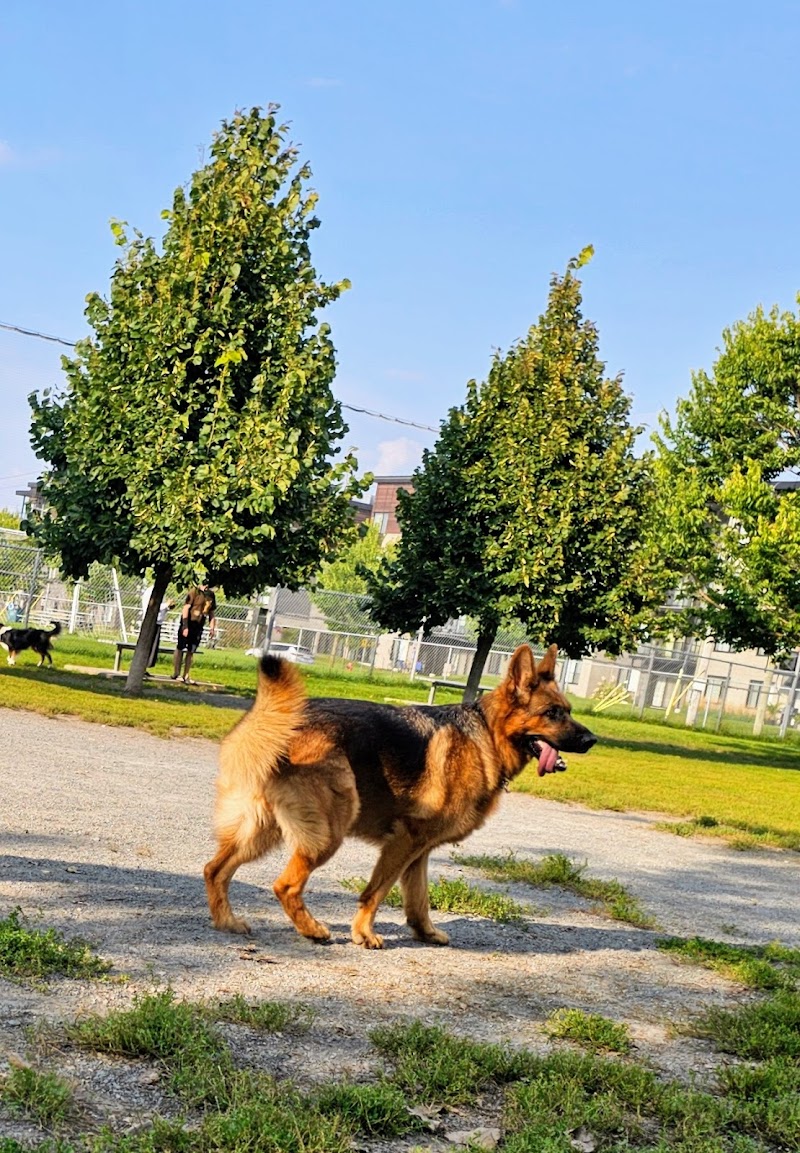 Parc à chien - Entre quatre pattes dog park in Varennes, Quebec