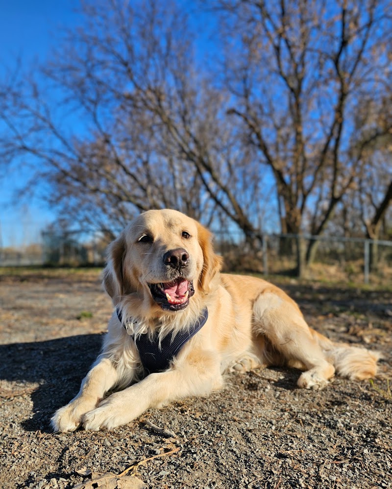 Parc à chien - Entre quatre pattes dog park in Varennes, Quebec