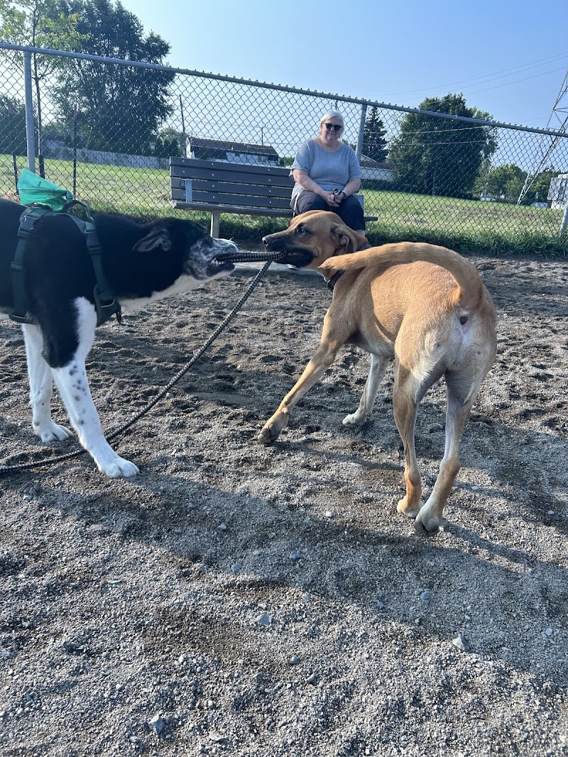 Payer dog park dog park in Saint-Hubert, Quebec