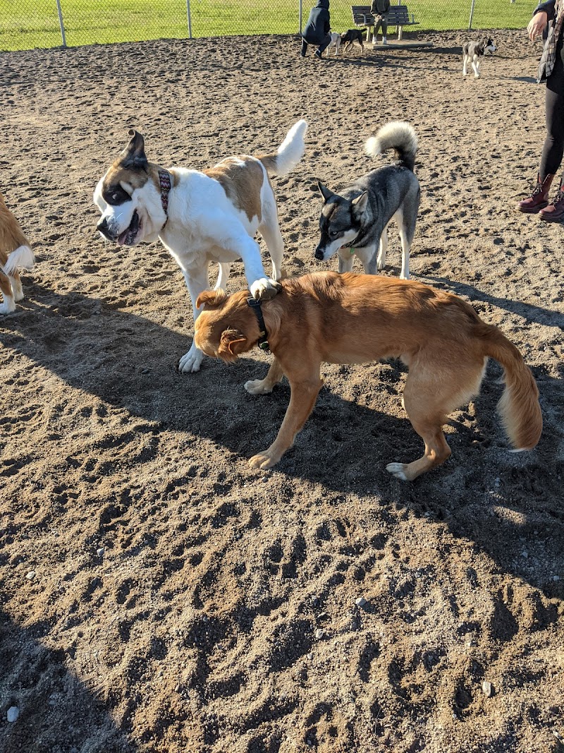 Payer dog park dog park in Saint-Hubert, Quebec