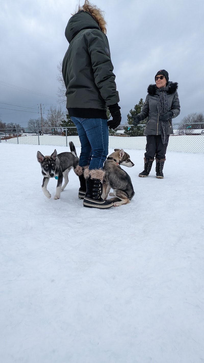 Payer dog park dog park in Saint-Hubert, Quebec