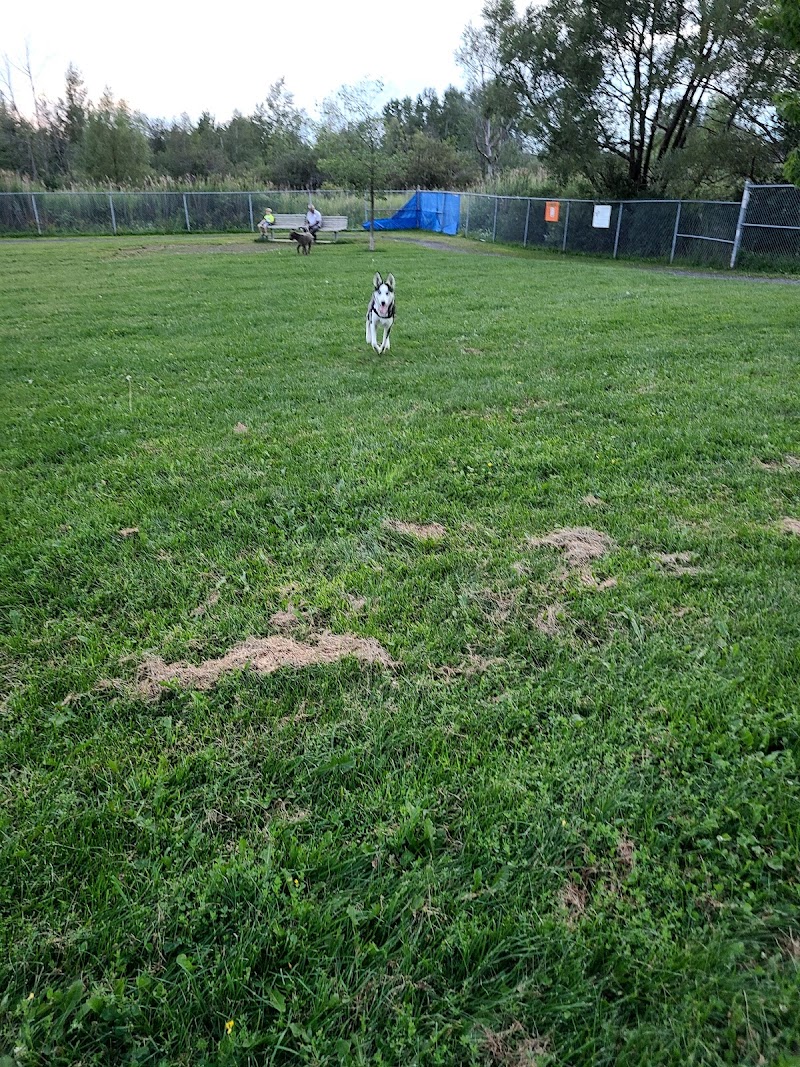Vauquelin dog park in Saint-Hubert dog park in Saint-Hubert, Quebec