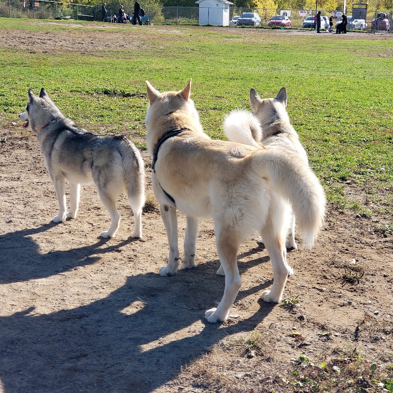 Vauquelin dog park in Saint-Hubert dog park in Saint-Hubert, Quebec