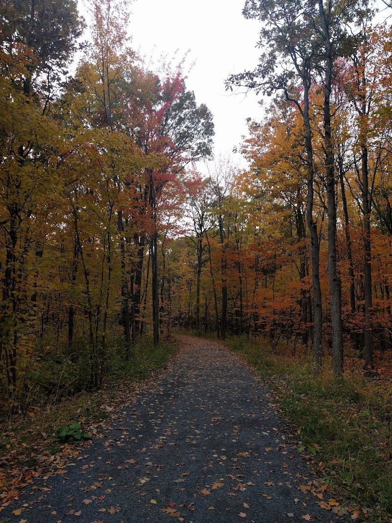Vauquelin dog park in Saint-Hubert dog park in Saint-Hubert, Quebec