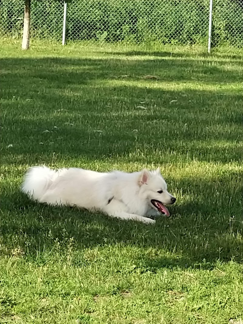 Vauquelin dog park in Saint-Hubert dog park in Saint-Hubert, Quebec
