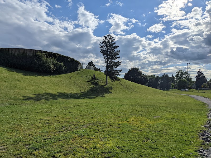 Julien-Lord Dog Park dog park in Longueuil, Quebec