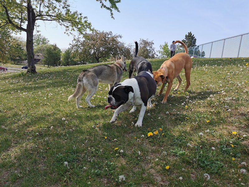 Julien-Lord Dog Park dog park in Longueuil, Quebec