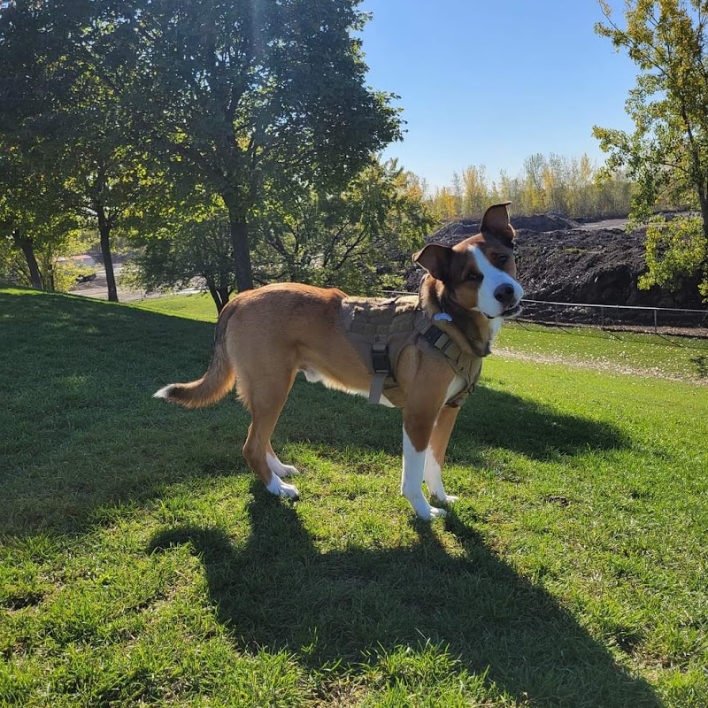 Julien-Lord Dog Park dog park in Longueuil, Quebec