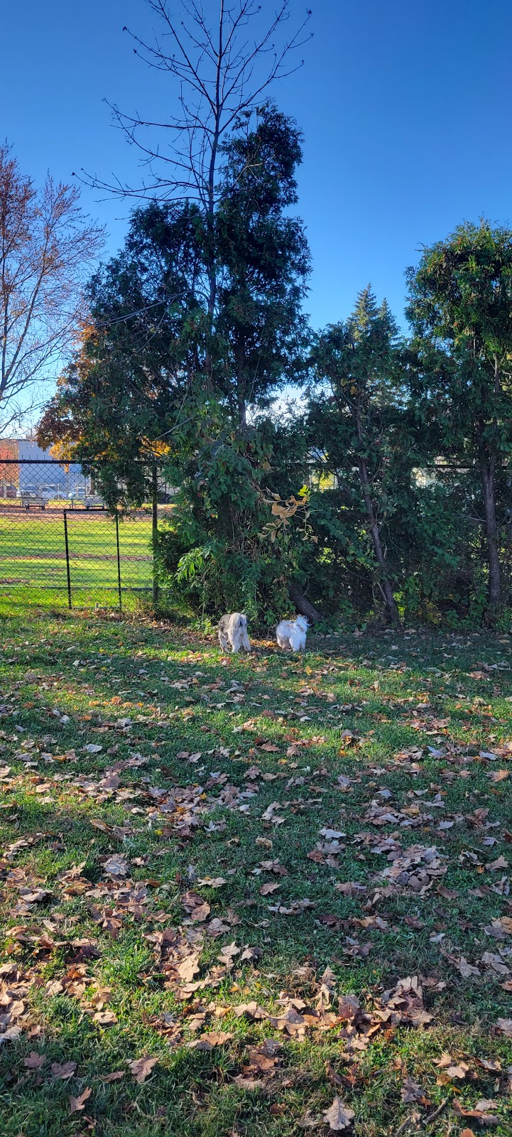 Lespérance Dog Park dog park in Saint-Lambert, Quebec