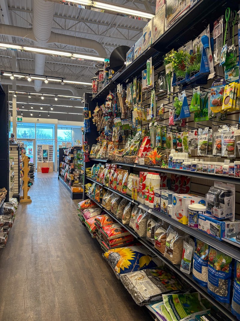 Animo Etc Greenfield Park dog park in Greenfield Park, Quebec