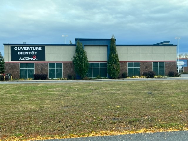 Animo Etc Greenfield Park dog park in Greenfield Park, Quebec