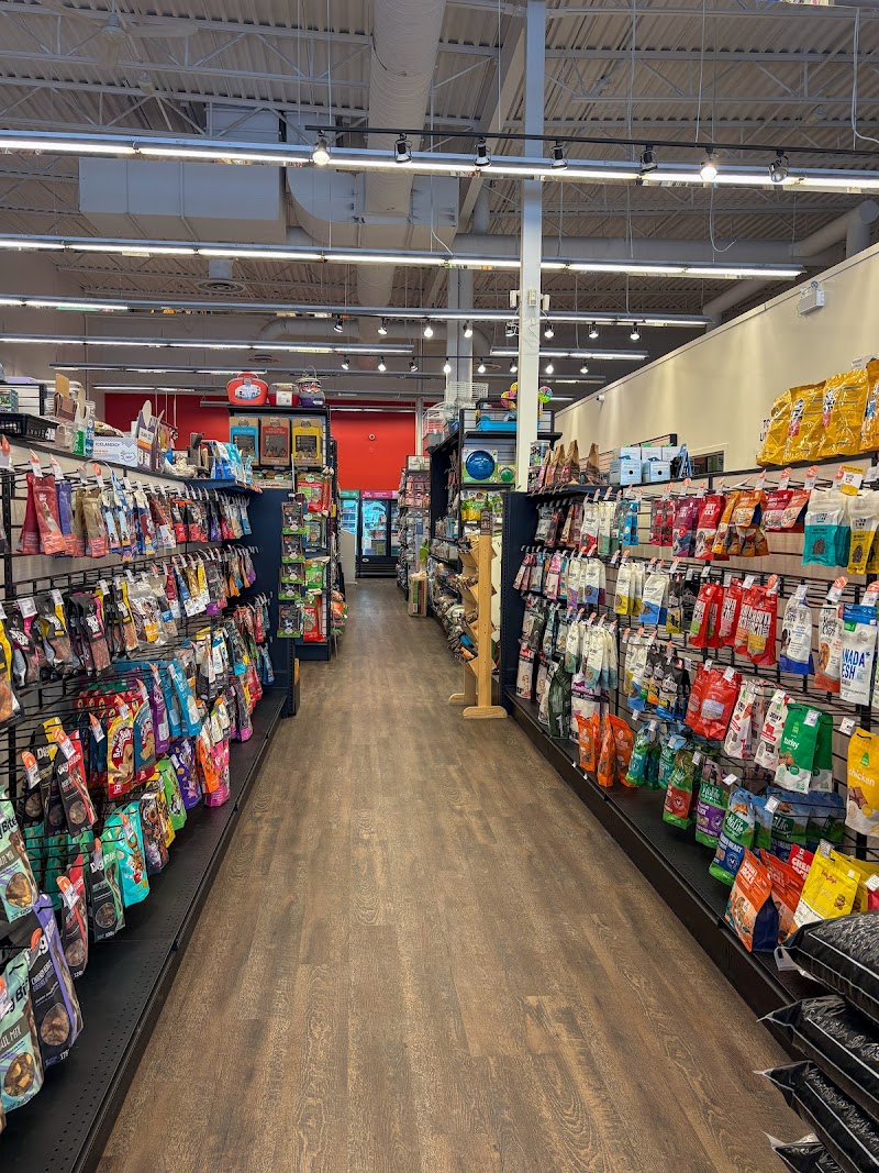 Animo Etc Greenfield Park dog park in Greenfield Park, Quebec