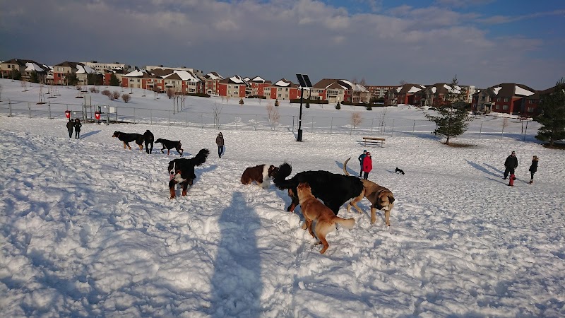 Brossard Dog Park dog park in Brossard, Quebec