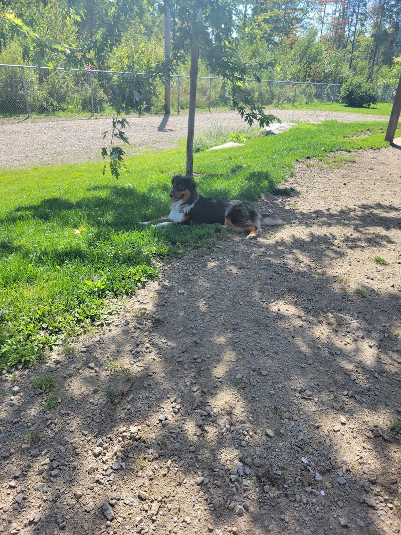 parc canin dog park in Sainte-Catherine-de-la-Jacques-Cartier, Quebec