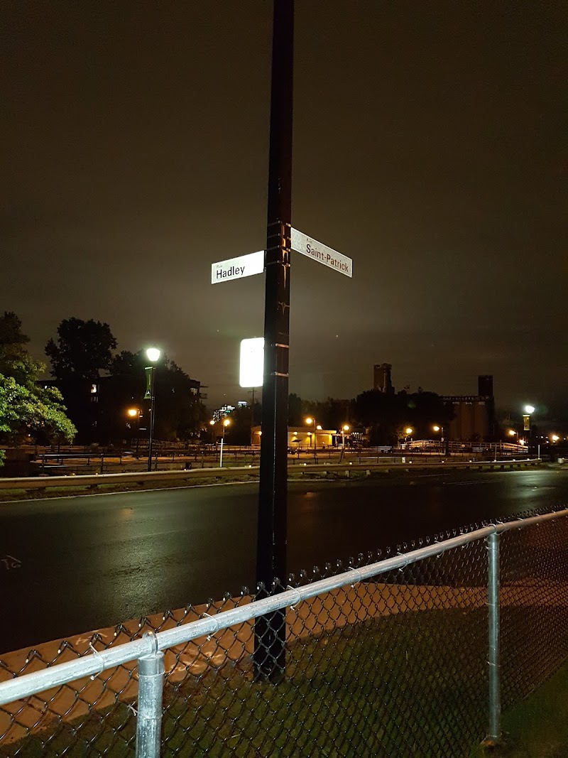 Saint-Patrick dog park dog park in Montreal, Quebec