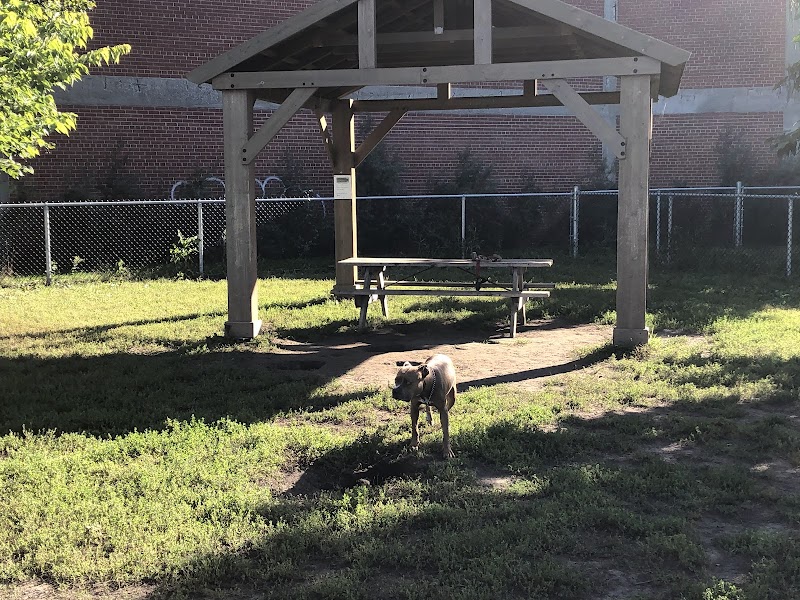 Saint-Patrick dog park dog park in Montreal, Quebec