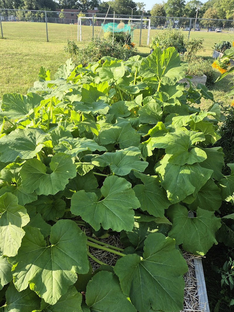 Carol Disher Leash-Free Dog Park dog park in St. Catharines, Ontario