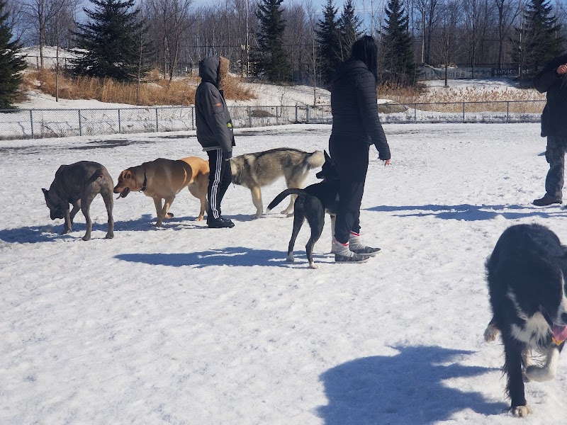 Parc canin dog park in Saint-Jérôme, Quebec