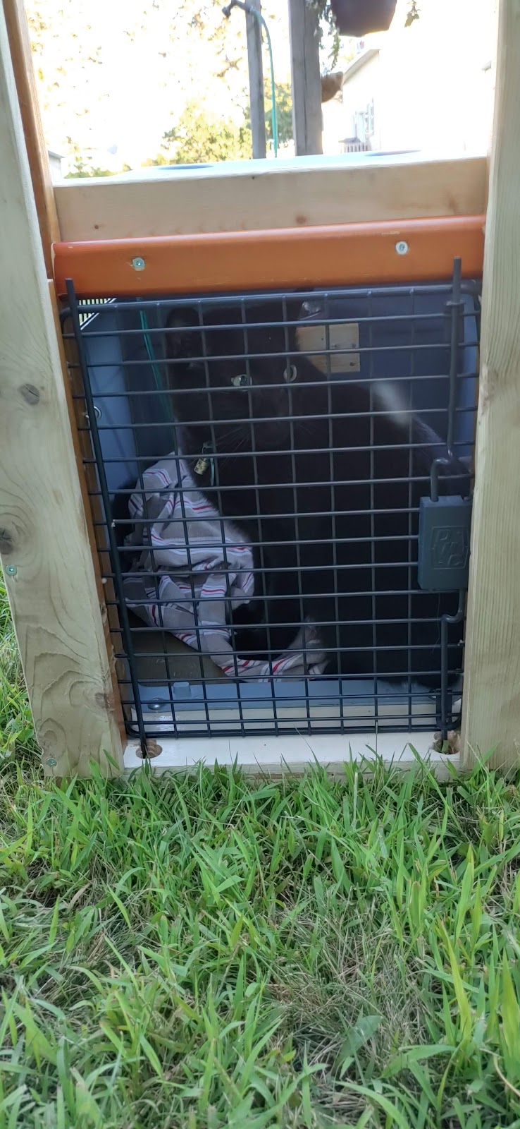 Parc canin dog park in Mirabel, Quebec