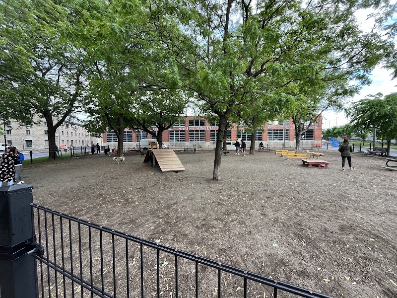 Pilote dog park dog park in Montreal, Quebec