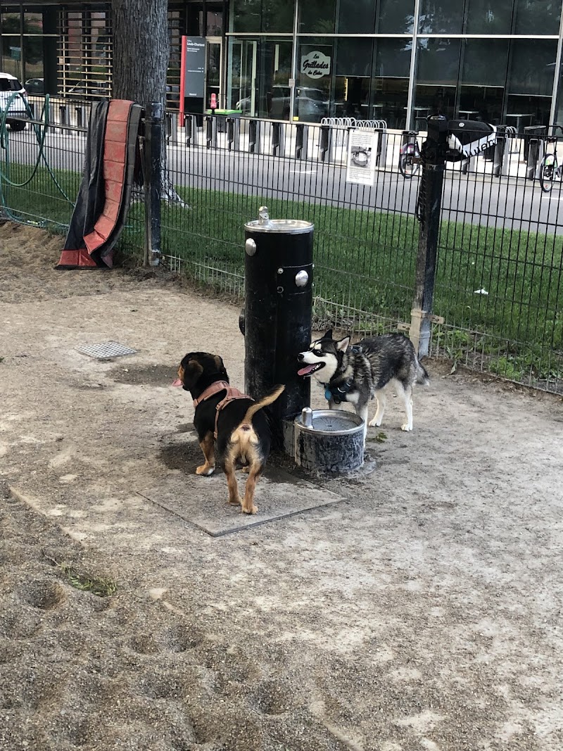 Pilote dog park dog park in Montreal, Quebec
