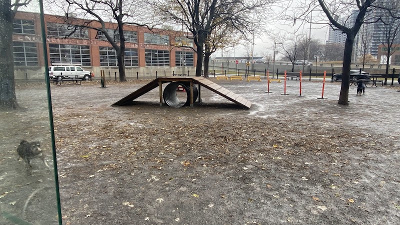 Pilote dog park dog park in Montreal, Quebec
