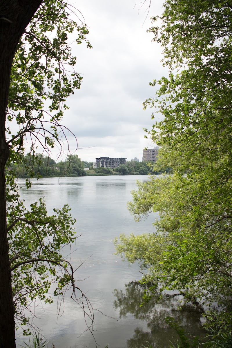 Champion Dog Park dog park in Verdun, Quebec