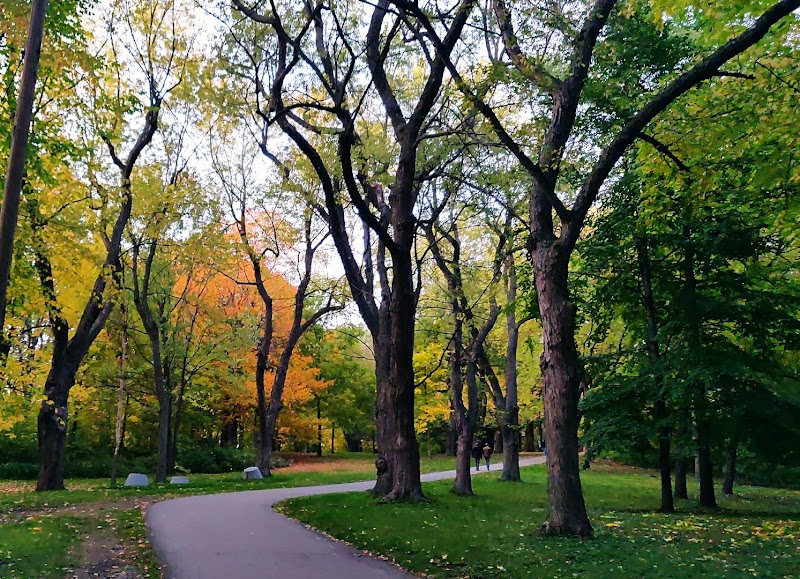 Percy-Walters Park dog park in Montreal, Quebec