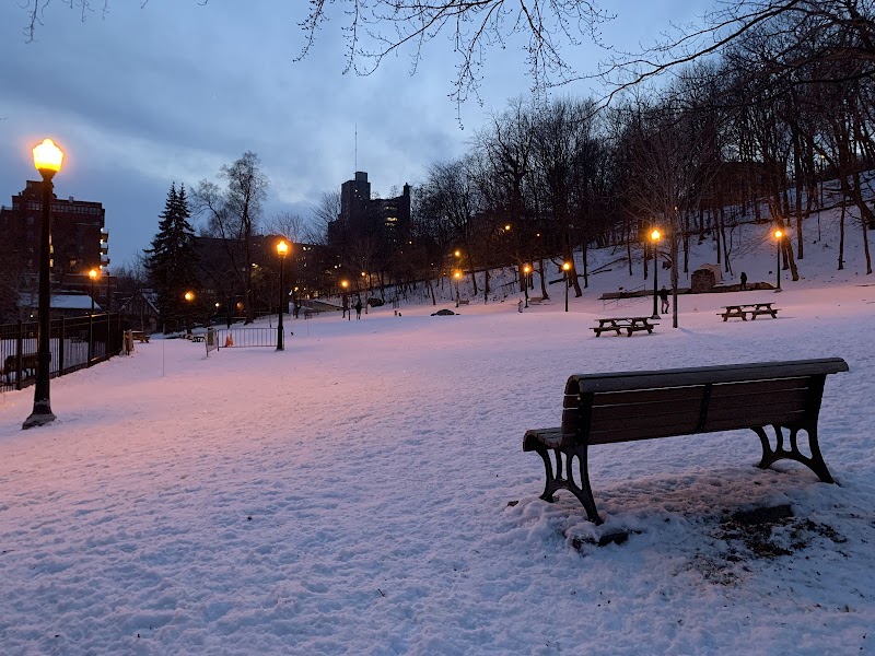 Percy-Walters Park dog park in Montreal, Quebec