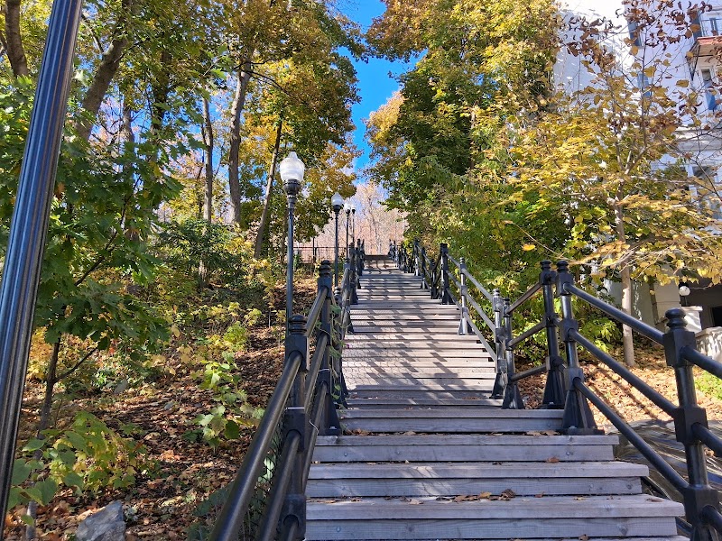 Percy-Walters Park dog park in Montreal, Quebec
