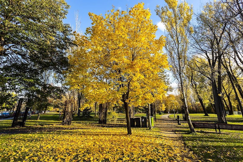 Angrignon dog park dog park in Montreal, Quebec