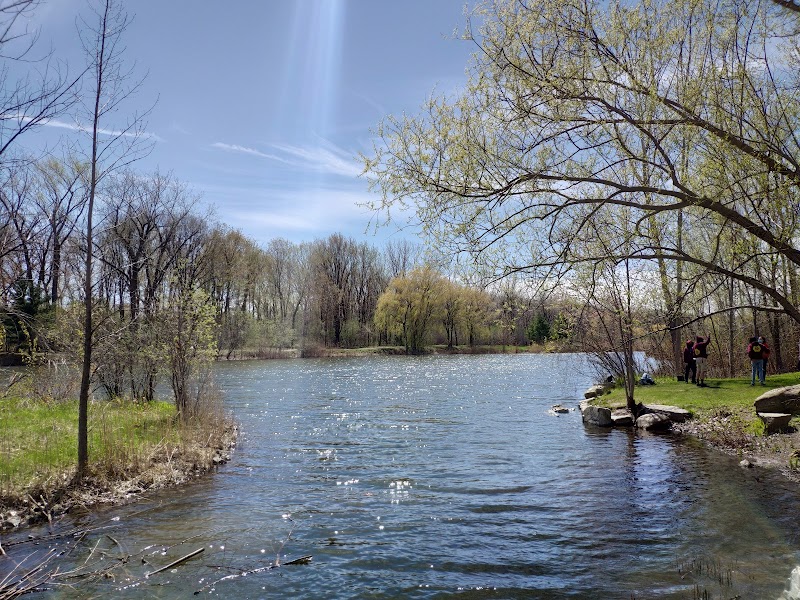 Angrignon dog park dog park in Montreal, Quebec