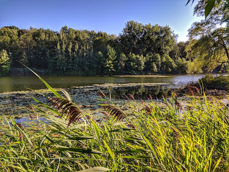 Angrignon dog park dog park in Montreal, Quebec