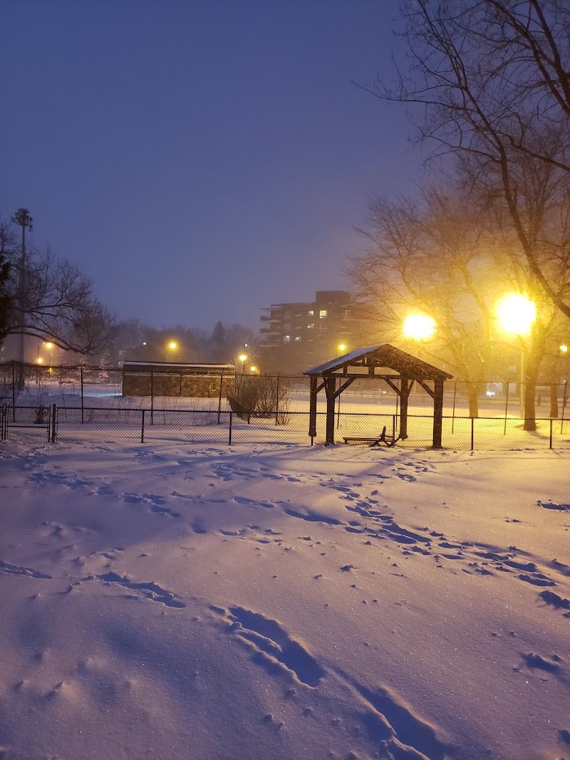 Angrignon dog park dog park in Montreal, Quebec