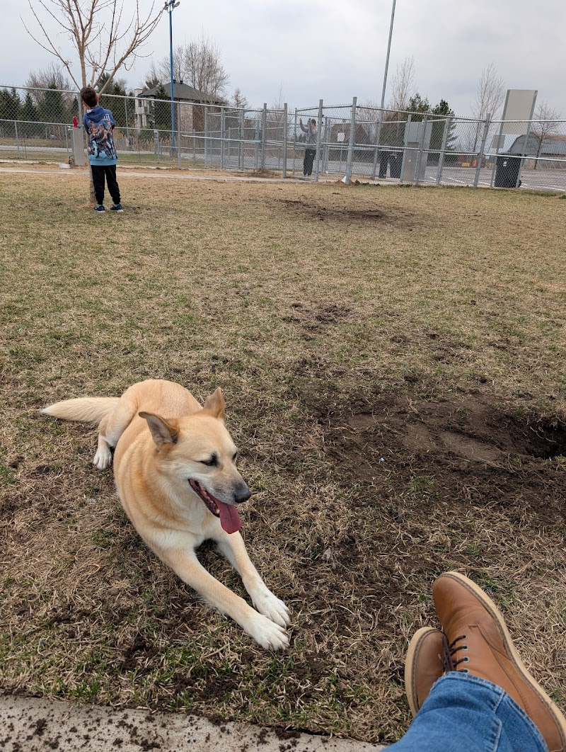 Lavaltrie dog park dog park in Lavaltrie, Quebec