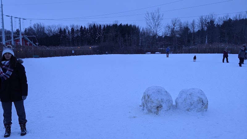 Canine Park dog park in Mascouche, Quebec