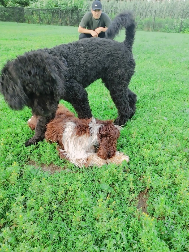 Canine Park dog park in Mascouche, Quebec