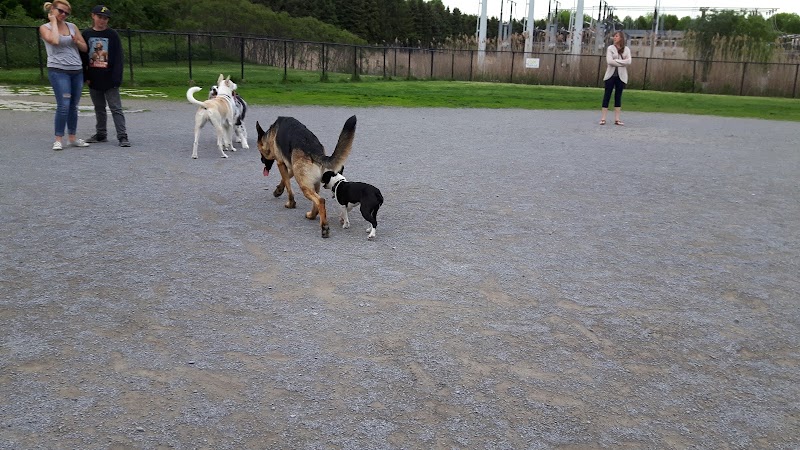 Canine Park dog park in Mascouche, Quebec