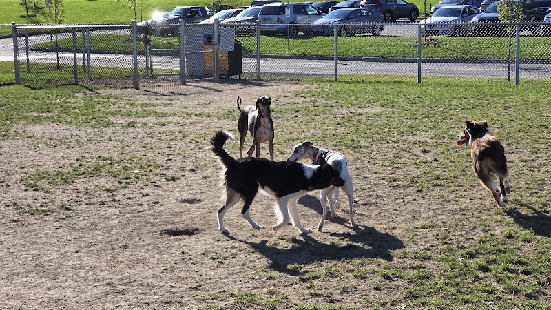 Enclos canins dog park in Repentigny, Quebec