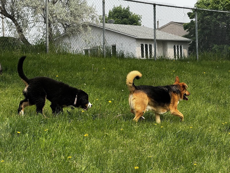 Parc Canin Lefebvre dog park in Repentigny, Quebec