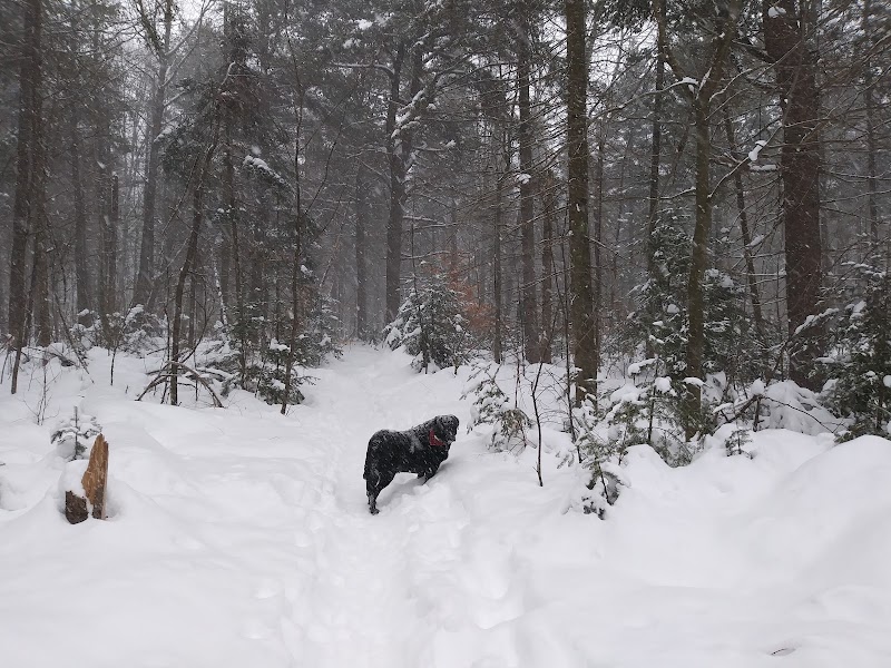 Parc Canin dog park in Saint-Charles-Borromée, Quebec