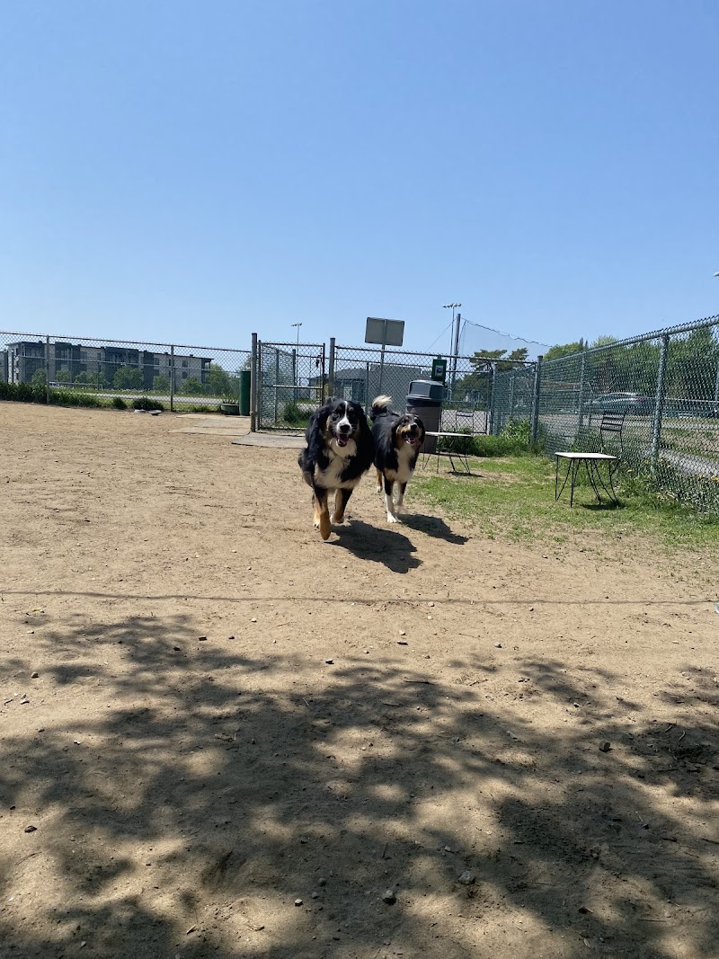Parc Canin dog park in Saint-Charles-Borromée, Quebec