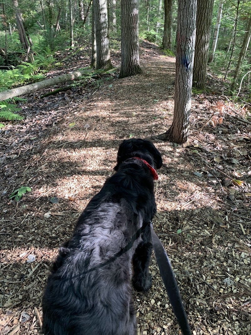 Parc Canin dog park in Saint-Charles-Borromée, Quebec
