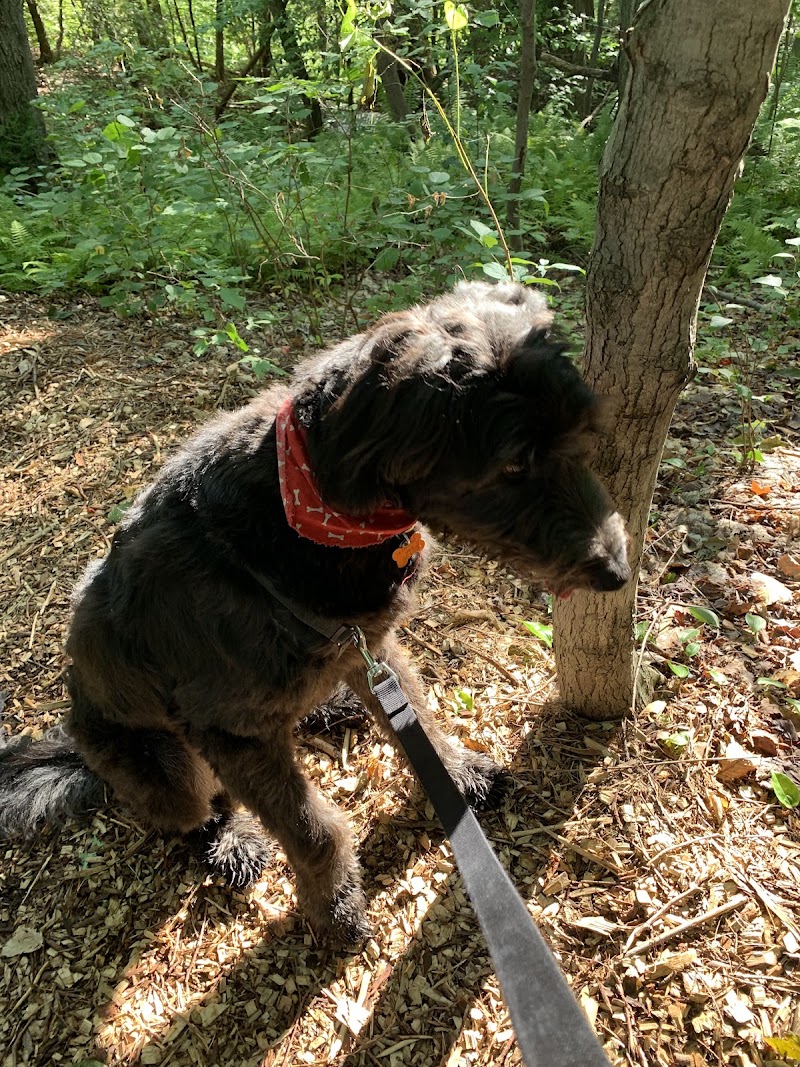 Parc Canin dog park in Saint-Charles-Borromée, Quebec