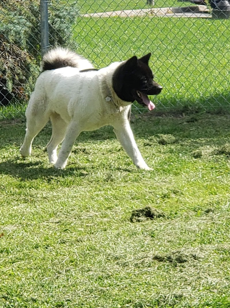 Alfred-Dorais Dog Park dog park in Châteauguay, Quebec