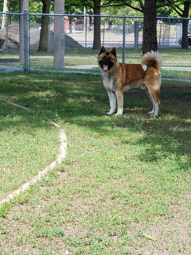 Alfred-Dorais Dog Park dog park in Châteauguay, Quebec